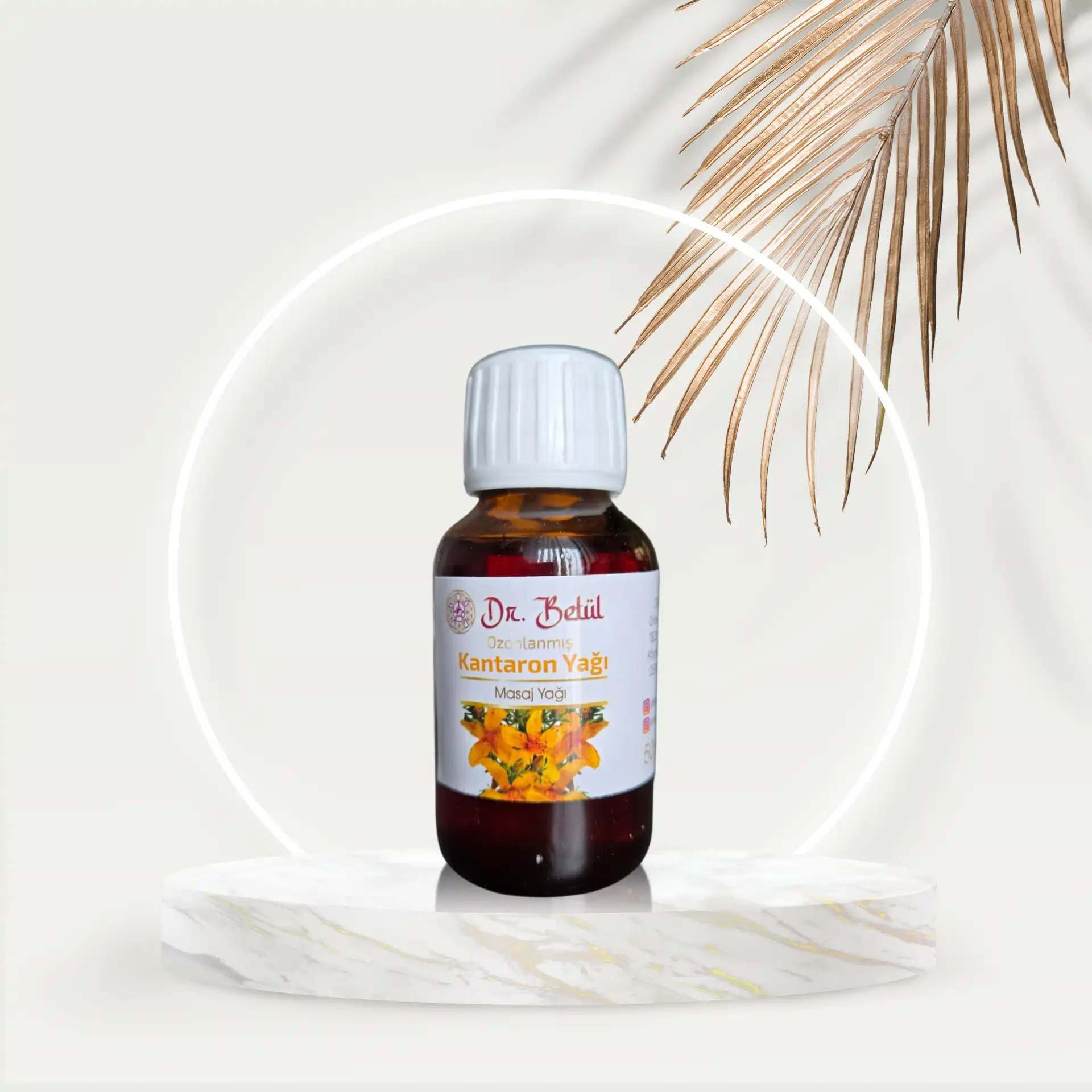 kantaronyagi-1 kantaronyagi-1